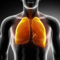 logo Médecin pneumologue - RÉSEAU SOCIAL PRIVÉ