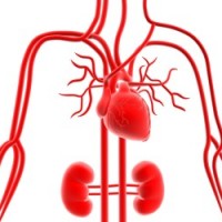 logo Chirurgien vasculaire - RÉSEAU SOCIAL PRIVÉ