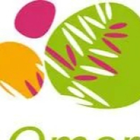 logo CH de Saint-Omer