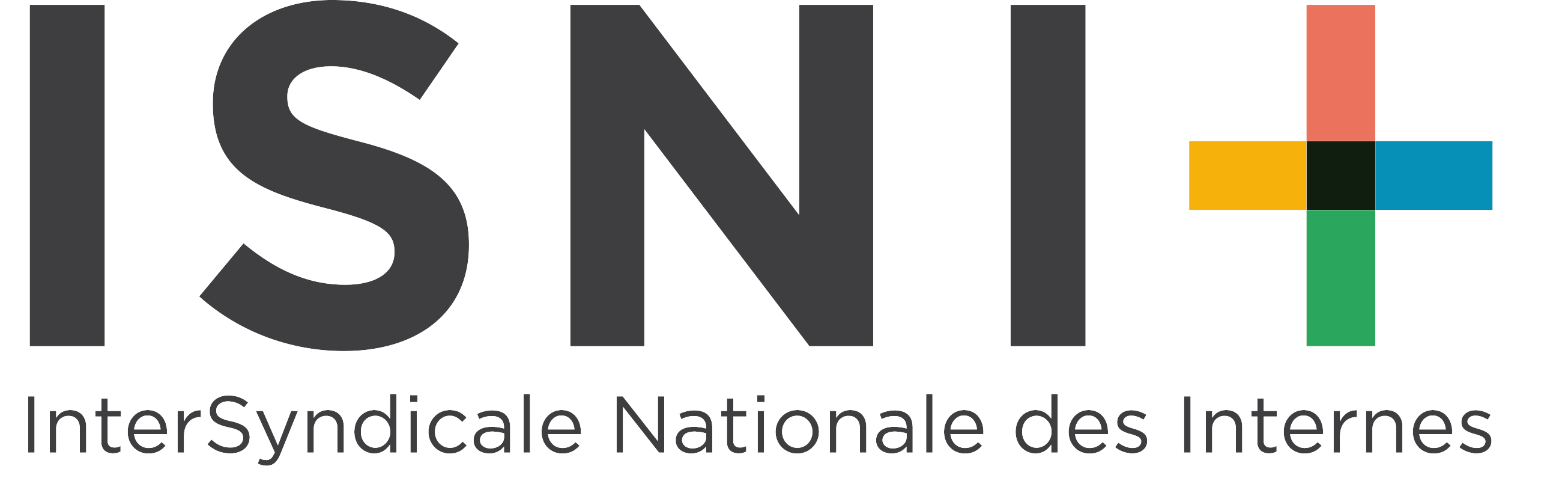 Inter Syndicat National des Internes