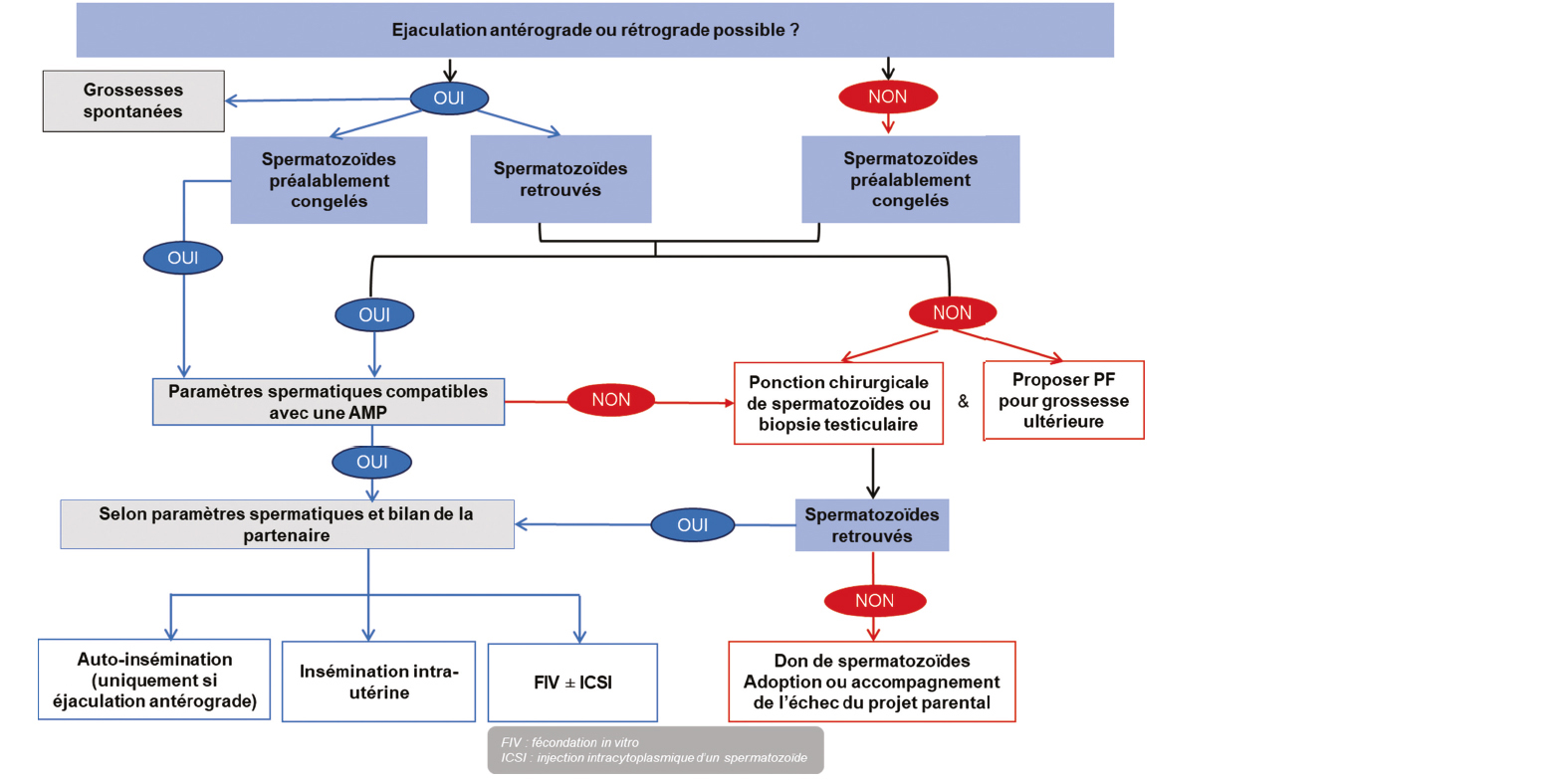 Actualité - Quoi de neuf dans l’actualité ?