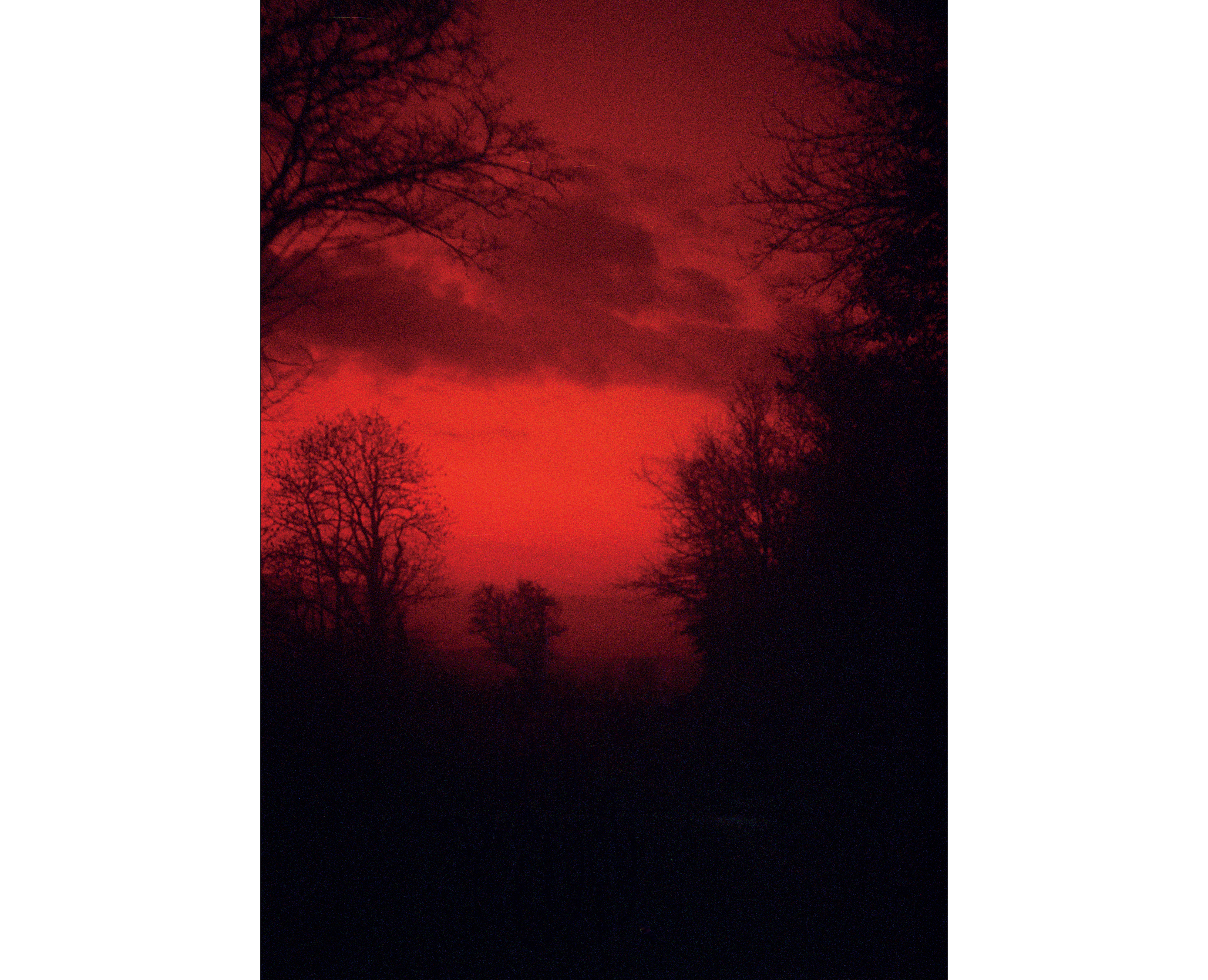 L’ombre d’un instant,  la capture argentique d’un regard libre