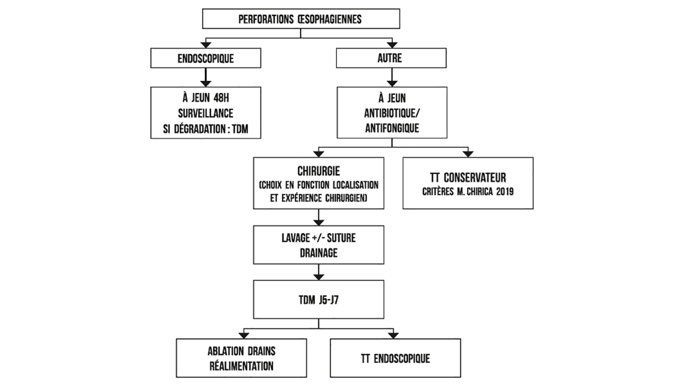 Prise en charge des perforations oesophagiennes